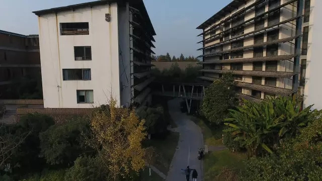 中國美術學院自然光考試哪個角度好?必看國美校考小內幕 中國美術學院自然光考試哪個角度好?必看國美校考小內幕