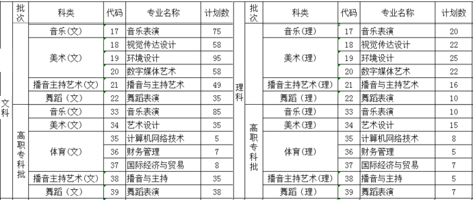 湖南信息學院2019年藝術類分省招生計劃