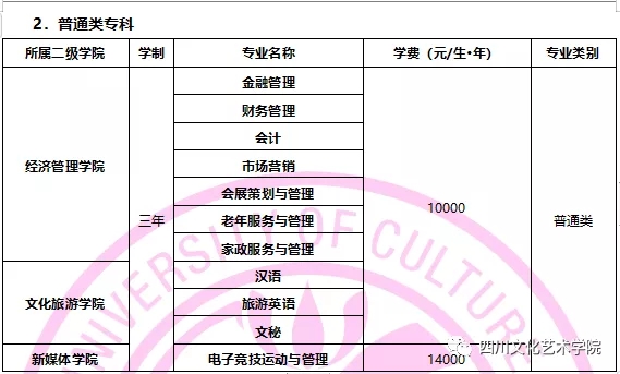 四川文化藝術學院2020年省外招生簡章