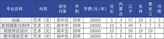 大連東軟信息學院2020年美術類本科專業招生計劃