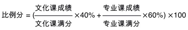 北京語言大學2020年藝術類本科分省分專業招生計劃