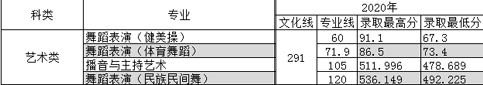 河北體育學(xué)院2020年河北省藝術(shù)類本科錄取分?jǐn)?shù)線